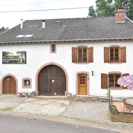 Serendipity For All Apartments Saint-Die-des-Vosges Eksteriør billede