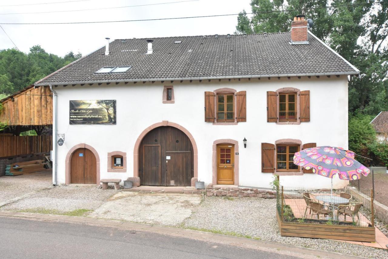 Serendipity For All Apartments Saint-Die-des-Vosges Eksteriør billede